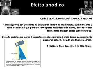 Onde é produzido o raios-x? CATODO x ANODO?

A inclinação de 23º do anodo na ampola de raios-x do mamógrafo, possibilita que o
    feixe de raios-x fique paralelo com a parte mais densa da mama, obtendo desta
                                           forma uma imagem densa como um todo.

O efeito anódico na mama é importante pois a sua base é mais densa que o restante
                                    da mama anterior devido seu formato cônico.

                                        A distância Foco Receptor é de 60 a 80 cm.
 