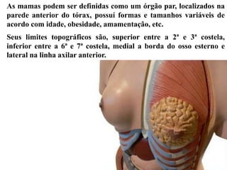 As mamas podem ser definidas como um órgão par, localizados na
parede anterior do tórax, possuí formas e tamanhos variáveis de
acordo com idade, obesidade, amamentação, etc.
Seus limites topográficos são, superior entre a 2ª e 3ª costela,
inferior entre a 6ª e 7ª costela, medial a borda do osso esterno e
lateral na linha axilar anterior.
 