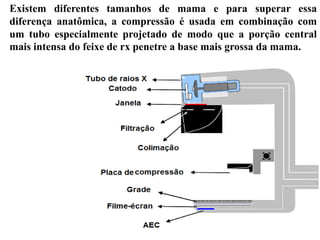 Existem diferentes tamanhos de mama e para superar essa
diferença anatômica, a compressão é usada em combinação com
um tubo especialmente projetado de modo que a porção central
mais intensa do feixe de rx penetre a base mais grossa da mama.
 