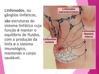 Linfonodos, ou
gânglios linfáticos,
são estruturas do
sistema linfático cuja
função é manter o
equilíbrio de fluidos,
com a produção da
linfa e o sistema
imunológico,
mantendo o corpo
saudável.
 