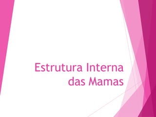 Estrutura Interna
das Mamas
 