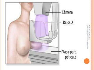 Profª Renata Cristina -
renatacvm@gmail.com - 96984689
 