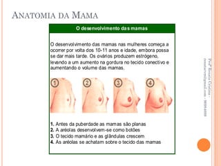 ANATOMIA DA MAMA
                    O desenvolvimento da s mamas


       O desenvolvimento das mamas nas mulheres começa a
       ocorrer por volta dos 10-11 anos e idade, embora possa
       se dar mais tarde. Os ovários produzem estrógeno,




                                                                renatacvm@gmail.com - 96984689
                                                                Profª Renata Cristina -
       levando a um aumento na gordura no tecido conectivo e
       aumentando o volume das mamas.




       1.   Antes da puberdade as mamas são planas
       2.   A aréolas desenvolvem -se como botões
       3.   O tecido mamário e as glândulas crescem
       4.   As aréolas se achatam sobre o tecido das mamas
 