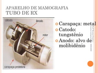 APARELHO DE MAMOGRAFIA
TUBO DE RX

                  Carapaça:   metal




                                 renatacvm@gmail.com - 96984689
                                 Profª Renata Cristina -
                  Catodo:
                   tungstênio
                  Anodo: alvo de
                   molibidênio
 