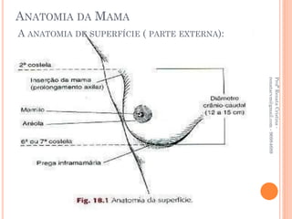 ANATOMIA DA MAMA
A ANATOMIA DE SUPERFÍCIE ( PARTE EXTERNA):




                                             renatacvm@gmail.com - 96984689
                                             Profª Renata Cristina -
 