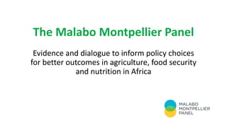 The Malabo Montpellier Panel
Evidence and dialogue to inform policy choices
for better outcomes in agriculture, food security
and nutrition in Africa
 