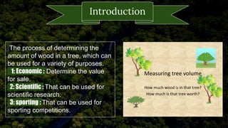 volume measurment of tree for forestry purposes | PDF