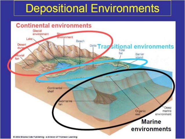 Classification of Marine Depositional Environment lake sedimentation diagram 