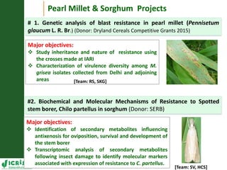 Asia Regional Planning Meeting-Integrated Crop Management and Climate Change an overview by Dr Mamta Sharma