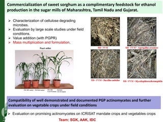 Asia Regional Planning Meeting-Integrated Crop Management and Climate Change an overview by Dr Mamta Sharma