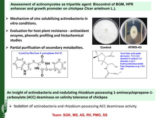 Asia Regional Planning Meeting-Integrated Crop Management and Climate Change an overview by Dr Mamta Sharma