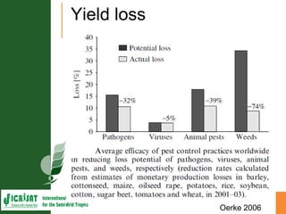 Asia Regional Planning Meeting-Integrated Crop Management and Climate Change an overview by Dr Mamta Sharma