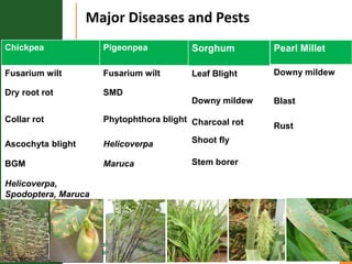 Asia Regional Planning Meeting-Integrated Crop Management and Climate Change an overview by Dr Mamta Sharma