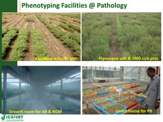 Asia Regional Planning Meeting-Integrated Crop Management and Climate Change an overview by Dr Mamta Sharma