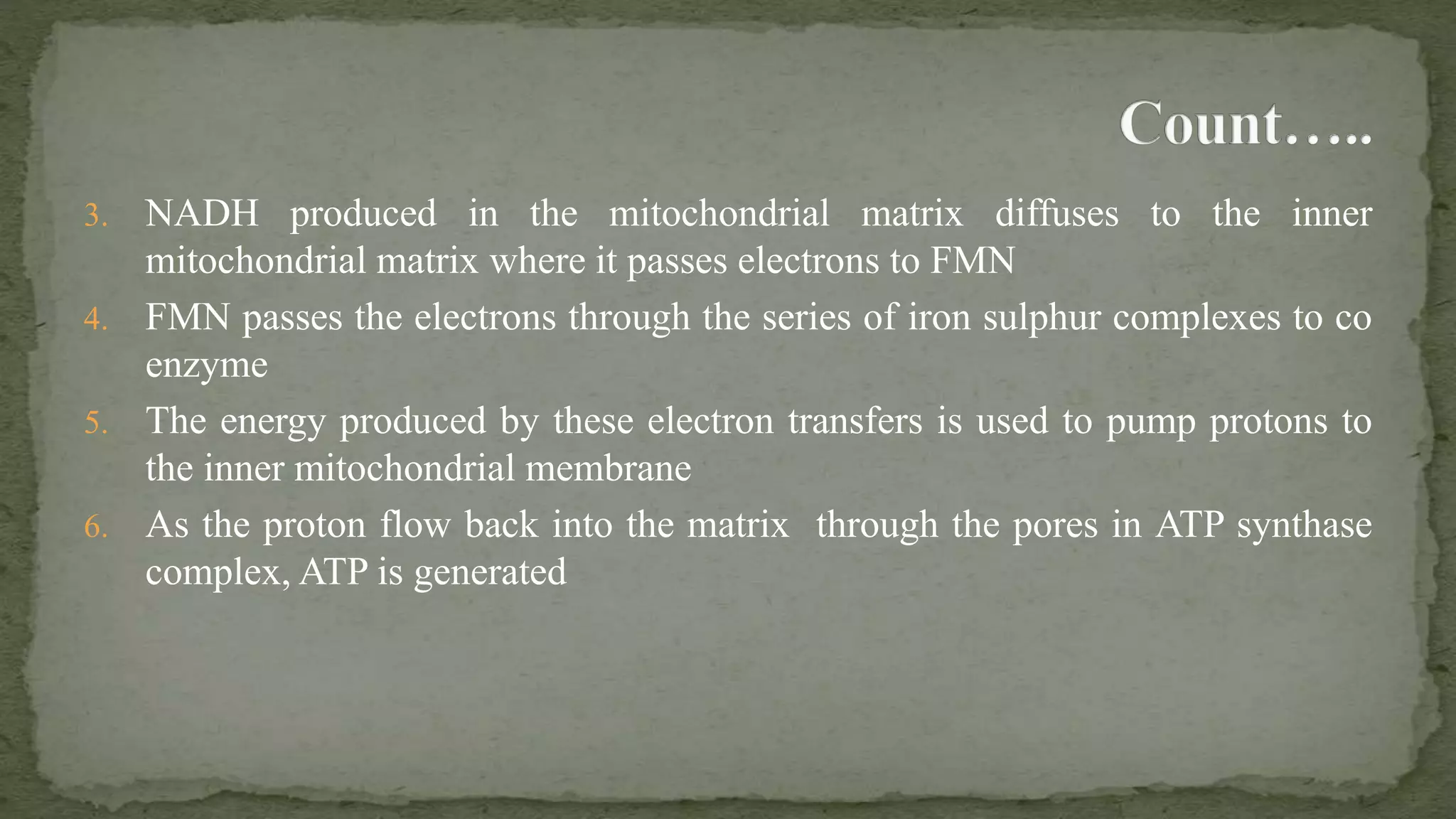 Electron Transfer Chain in eukaryotes