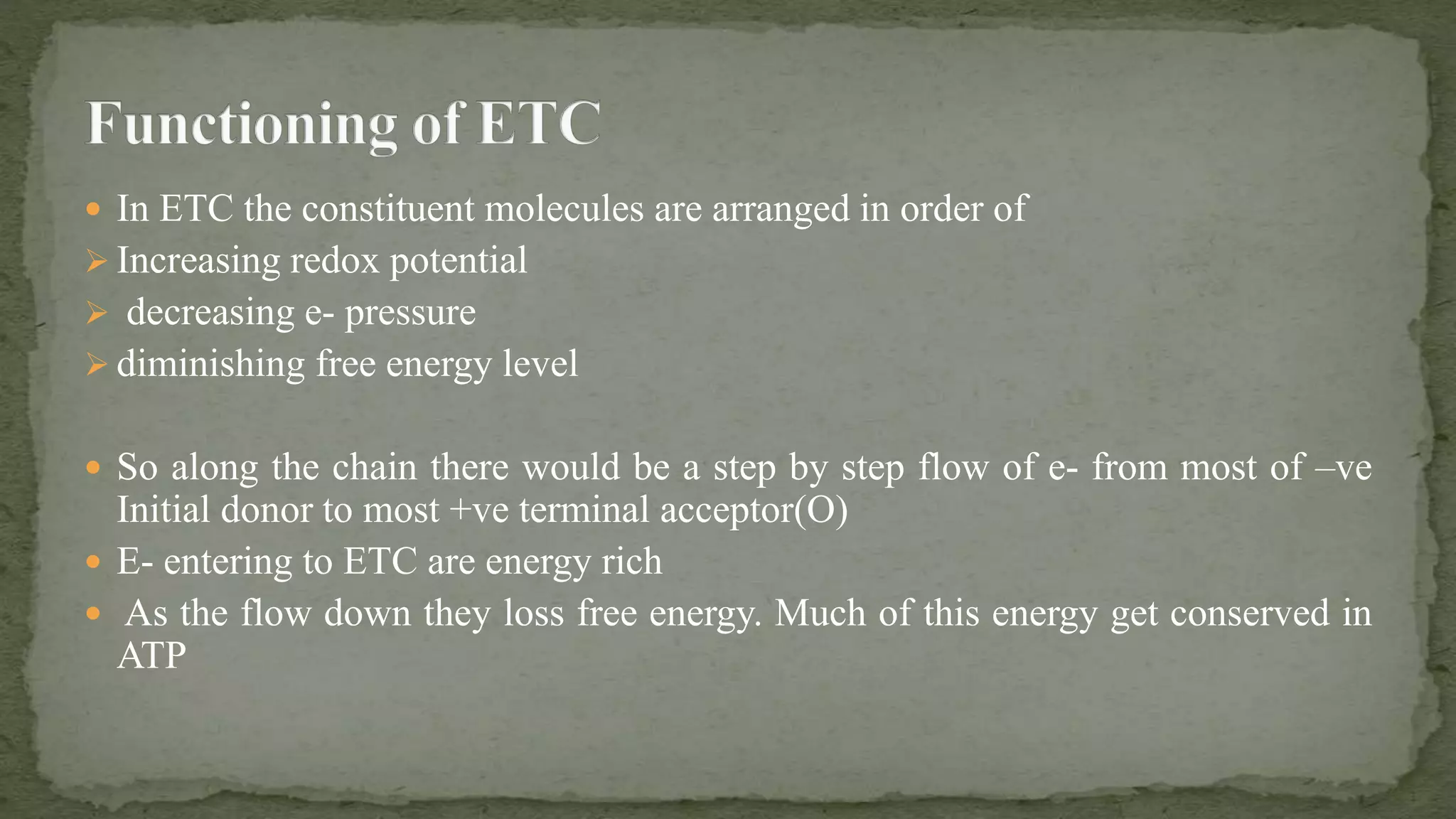 Electron Transfer Chain in eukaryotes