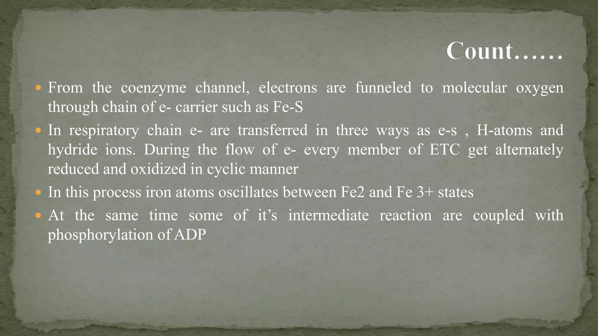 Electron Transfer Chain in eukaryotes