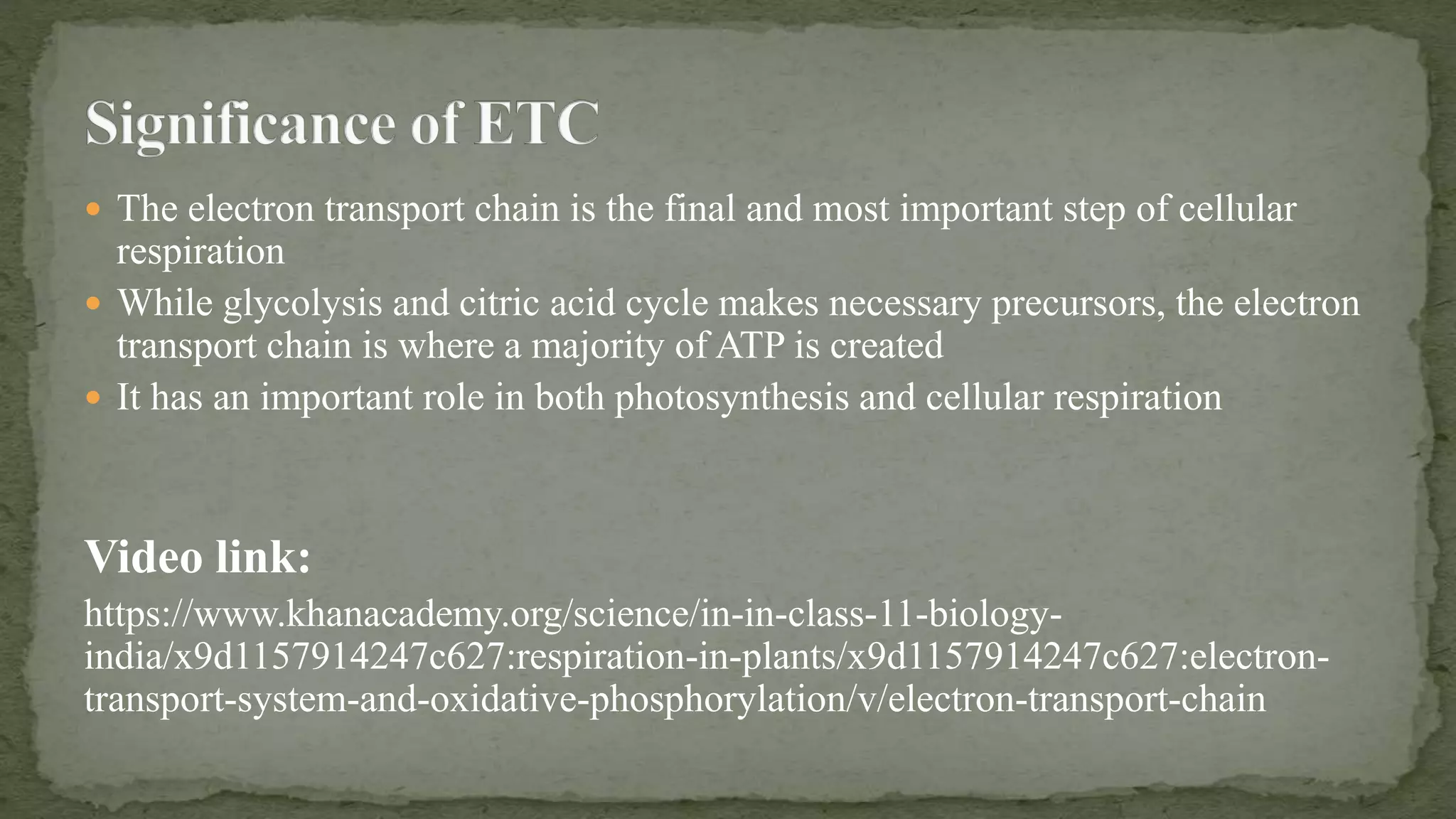 Electron Transfer Chain in eukaryotes