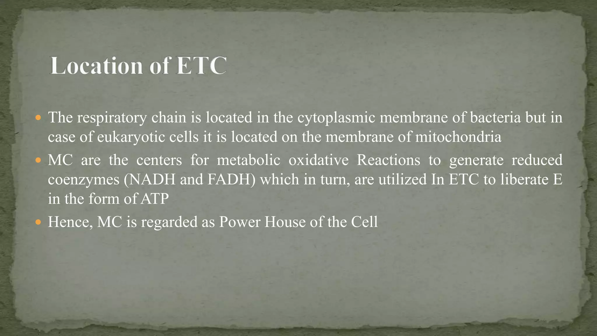 Electron Transfer Chain in eukaryotes