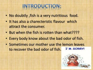 • No doubtly ,fish is a very nutritious food. 
• It has also a charecteristic flavour which 
attract the consumer. 
• But when the fish is rotten than what???? 
• Every body know about the bad odor of fish. 
• Sometimes our mother use the lemon leaves 
to recover the bad odor of fish. 
 