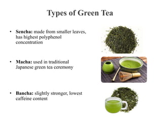 Types of Green Tea
• Sencha: made from smaller leaves,
has highest polyphenol
concentration
• Macha: used in traditional
Japanese green tea ceremony
• Bancha: slightly stronger, lowest
caffeine content
 