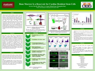 Bone Marrow Is a Reservoir for Cardiac Resident Stem Cells
Na Liu, Xin Qi, Zhibo Han, Lu Liang, Deling Kong, Zhongchao Han.
Nature; international weekly journal of science, 2016
Abstract:
Cardiac stem cells (CSCs) represent a responsive stem cell
reservoir within the adult myocardium and have a significant
function in myocardial homeostasis and injury. However, the
distribution, origin, homing and possible therapeutic benefits
of CSCs are still under discussion. In this research potential of
bone marrow (BM) stem cells in contributing to repopulating
the pool of CSCs in heart is
investigated. clarified that more than 50% CSCs are derived
from BM and confirmed that BM-derived CSCs have similar
characteristics with the host CSCs. Furthermore, we
transplanted BM-derived CSCs into heart ischemia models and
presented evidence for the first time that BM-derived CSCs
can differentiate into cardiomyocytes in vivo. In conclusions,
BM stem cells could be a potential back-up source of CSCs for
restoring heart function after injury or maintaining homeostasis
of CSCs.
Background:
Figure no:1 : trafficking of BM stem cells into blood
circulation and heart [3]
BM stem cells could be a potential back-up source of
CSCs for restoring the function of ischemia heart disease
or maintaining the homeostasis of CSCs. [3]
Methodology:
References:
Results:
Conclusion:
Presented By:
• BM-derived CSCs have similar characteristics with host
CSCs
• BM-derived CSCs can differentiate into cardiomyocytes in
vivo in heart ischemia models.
• BM stem cells could be a potential back-up source of CSCs
for restoring heart function after injury or maintaining the
homeostasis of CSCs
• CSCs represent a responsive stem cell reservoir within the
adult myocardium and recent studies have revealed that
CSCs have a significant function in myocardial homeostasis
and after injury
Cardiovascular disease (CVD) refers to a group of illnesses
that have to do with the heart and the blood vessels that carry
blood around the body. Some of these illnesses include: High
blood pressure (hypertension), Heart disease (known generally
as coronary heart disease, which includes heart attacks),
Stroke.
Heart stem or progenitor cells are multipotent cells residing in
the adult mammalian heart that are capable of self-renewing
and generating coronary vessels and heart muscle cells called
cardiomyocytes. These cardiac stem cells have potential to
repair the heart after mycocardial infaraction.
Khadija Khawar
Roll no: 10
Neelam Basharat
Roll no:50
Amna Munir
Roll no:54
Asifa Zafar
Roll no. 69
Presented To: Ma’am Usmara Sajid
Course: Health Biotechnology
Department: Biotechnology
Semester: 6th
University of Gujrat
Introduction:
Heart failure is still a major cause of hospitalization and
mortality in developed countries. Many clinical trials and
researches have tested the use of multipotent stem cells as a
cardiac regenerative medicine. The benefit for the patients of
this therapeutic intervention has remained limited. [1]The
majority of studies indicate that CMs renewal rate is very low,
less than 1% per year, and the rate declines with age . The
mechanism for cardiomyocyte homeostasis in normal
mammalian myocardium is potentially different from
regeneration after injury, which could trigger a cascade of
signals that result in activation of dormant progenitor cells or
proliferation of existing cardiomyocytes .[2] Previous works
have demonstrated that CSCs can contribute to new CMs and
vascular lineages after injury4 and also improve cardiac function
after CSCs injected into the infarct zone.[3]
[1]. The new York times, 29 july, 2017. Coronary Heart
Disease
[2] Clinical Methods: The History, Physical, and
Laboratory Examinations. 3rd edition, chapter no 14
History of Cardiovascular Disease
[3]Na Liu, Xin Qi, Zhibo Han, Lu Liang, Deling Kong ,
( 27 june 2016) Bone Marrow Is a Reservoir for Cardiac
Resident Stem Cells
Figure no.3 : schematic diagram of procedure[3]
Figure no. 2: flow sheet explanation of
experiment steps
Figure no.4: Engraftment of BM stem cells[3]
Figure no.5: Bioluminace of BM stem
cells[3]
Figure no. 6: Quantitative analysis of CSCs in BMT mice
[3]
 