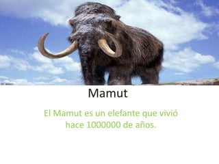 Mamut
El Mamut es un elefante que vivió
     hace 1000000 de años.
 