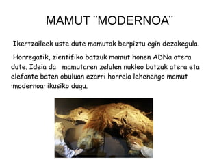 MAMUT ¨MODERNOA¨
Ikertzaileek uste dute mamutak berpiztu egin dezakegula.
Horregatik, zientifiko batzuk mamut honen ADNa atera
dute. Ideia da mamutaren zelulen nukleo batzuk atera eta
elefante baten obuluan ezarri horrela lehenengo mamut
·modernoa· ikusiko dugu.
 