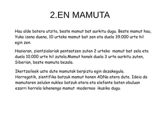 2.EN MAMUTA
Hau alde batera utzita, beste mamut bat aurkitu dugu. Beste mamut hau,
Yuka izena duena, 10 urteko mamut bat zen eta duela 39.000 urte hil
egin zen.
Hasieran, zientzialariak pentsatzen zuten 2 urteko mamut bat zela eta
duela 10.000 urte hil zutela.Mamut honek duela 3 urte aurkitu zuten,
Siberian, beste mamuta bezala.
Ikertzaileek uste dute mamutak berpiztu egin dezakegula.
Horregatik, zientifiko batzuk mamut honen ADNa atera dute. Ideia da
mamutaren zelulen nukleo batzuk atera eta elefante baten obuluan
ezarri horrela lehenengo mamut ·modernoa· ikusiko dugu.
 