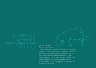 Espécie: Mamute
Gênero: Mammuthus
Grandes, fortes e de extrema importância, eles marcaram
uma era e se tornaram icônicos. Conhecidos como uma
das espécies com maior capacidade artística, eles se
adaptaram ao período mais extraordinário da terra,
inspiraram artes e viraram fonte de mitos e lendas. Esse
majestoso animal, que nunca abandona o grupo,
representa toda a força, inteligência e criatividade que
temos para acrescentar.
UM MERGULHO
NO PASSADO
PARA REPRESENTAR
O FUTURO
 