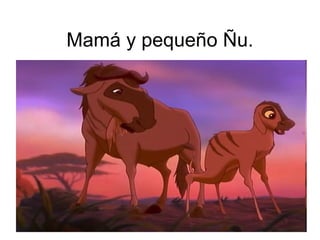 Mamá y pequeño Ñu.
 