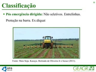  Pós emergência dirigida: Não seletivos. Entrelinhas.
Proteção na barra. Ex:diquat
Classificação
11
Fonte: Mais Soja. Kasuya. Retirado de Oliveira Jr e Inoue (2011).
 