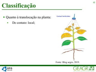  Quanto à translocação na planta:
 De contato: local;
Classificação
12
Fonte: Blog aegro, 2019.
 