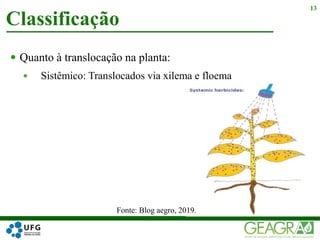  Quanto à translocação na planta:
 Sistêmico: Translocados via xilema e floema
Classificação
13
Fonte: Blog aegro, 2019.
 