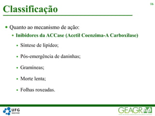  Quanto ao mecanismo de ação:
 Inibidores da ACCase (Acetil Coenzima-A Carboxilase)
 Síntese de lipídeo;
 Pós-emergência de daninhas;
 Gramíneas;
 Morte lenta;
 Folhas roxeadas.
Classificação
16
 