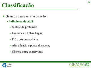  Quanto ao mecanismo de ação:
 Inibidores da ALS
 Síntese de proteínas;
 Gramínea e folhas largas;
 Pré e pós emergência;
 Alta eficácia e pouca dosagem;
 Clorose entre as nervuras.
Classificação
20
 