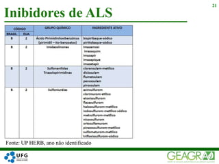 Fonte: UP HERB, ano não identificado
Inibidores de ALS
21
 