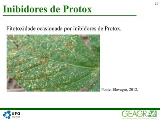 Fitotoxidade ocasionada por inibidores de Protox.
Inibidores de Protox
27
Fonte: Elevagro, 2012.
 