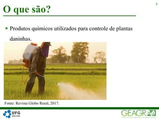  Produtos químicos utilizados para controle de plantas
daninhas.
O que são?
3
Fonte: Revista Globo Rural, 2017.
 