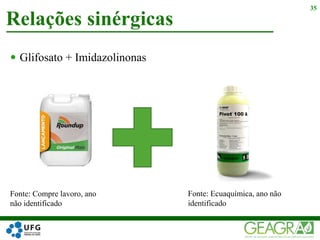  Glifosato + Imidazolinonas
Relações sinérgicas
35
Fonte: Compre lavoro, ano
não identificado
Fonte: Ecuaquímica, ano não
identificado
 