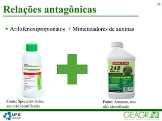  Arilofenoxipropionatos + Mimetizadores de auxinas
Relações antagônicas
36
Fonte: Specialist Sales,
ano não identificado
Fonte: Amazon, ano
não identificado
 
