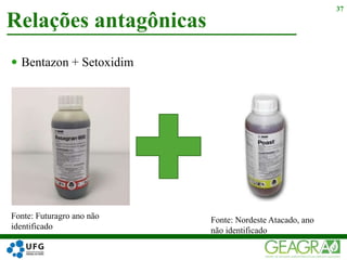  Bentazon + Setoxidim
Relações antagônicas
37
Fonte: Futuragro ano não
identificado
Fonte: Nordeste Atacado, ano
não identificado
 