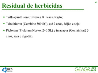  Trifloxysulfuron (Envoke), 8 meses, feijão;
 Tebuthiuron (Combine 500 SC), até 2 anos, feijão e soja;
 Picloram (Picloram Nortox 240 SL) e imazapyr (Contain) até 3
anos, soja e algodão.
Residual de herbicidas
47
 