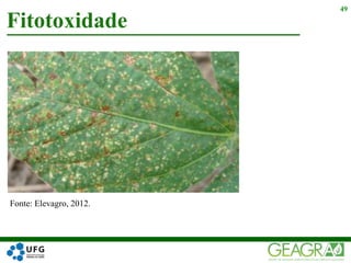 Fitotoxidade
49
Fonte: Elevagro, 2012.
 