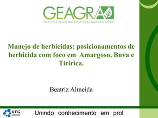 Unindo conhecimento em prol
Manejo de herbicidas: posicionamentos de
herbicida com foco em Amargoso, Buva e
Tiririca.
Beatriz Almeida
 