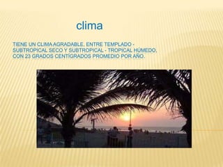 TIENE UN CLIMA AGRADABLE, ENTRE TEMPLADO -
SUBTROPICAL SECO Y SUBTROPICAL - TROPICAL HÚMEDO,
CON 23 GRADOS CENTÍGRADOS PROMEDIO POR AÑO.
clima
 