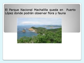 El Parque Nacional Machalilla queda en Puerto
López donde podrán observar flora y fauna
 