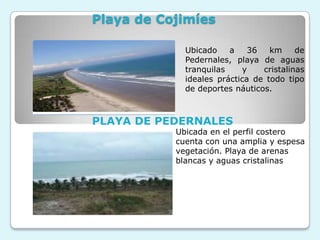 Playa de Cojimíes

             Ubicado    a    36   km     de
             Pedernales, playa de aguas
             tranquilas    y    cristalinas
             ideales práctica de todo tipo
             de deportes náuticos.



PLAYA DE PEDERNALES
           Ubicada en el perfil costero
           cuenta con una amplia y espesa
           vegetación. Playa de arenas
           blancas y aguas cristalinas
 