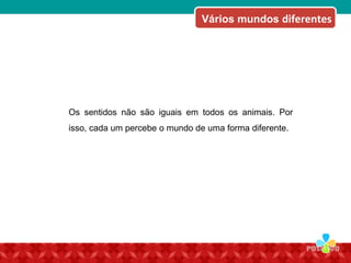 Os sentidos não são iguais em todos os animais. Por
isso, cada um percebe o mundo de uma forma diferente.
Vários mundos diferentes
 