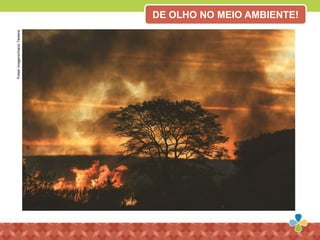 PulsarImagens/InacioTeixeira DE OLHO NO MEIO AMBIENTE!
 